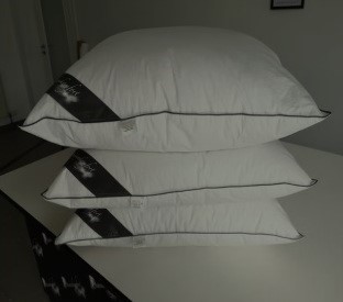 Разработка сайта по макетам Daunencomfort