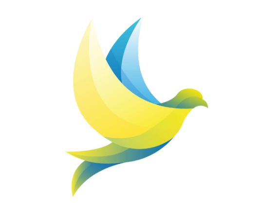 Design development for a public organization website